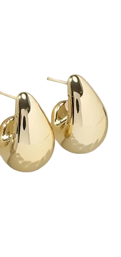 Gold plated stainless steel earrings