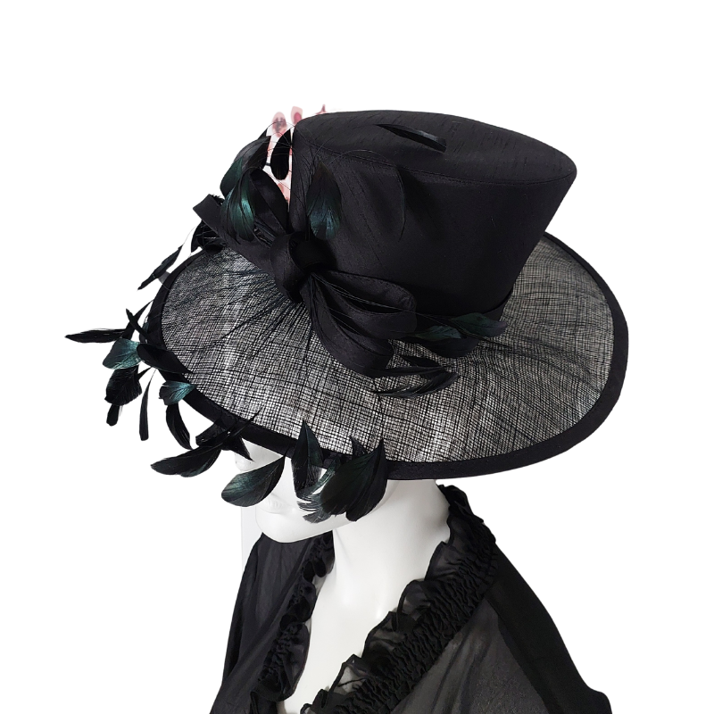 Black feather top hat, retail $200