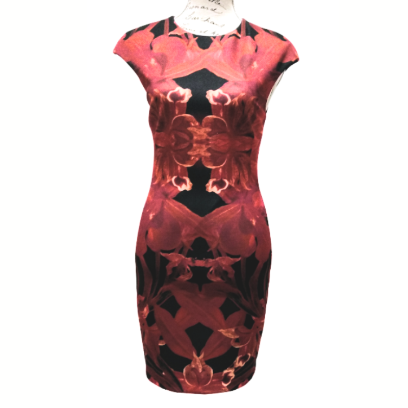 Ted baker bodycon dress, size 8