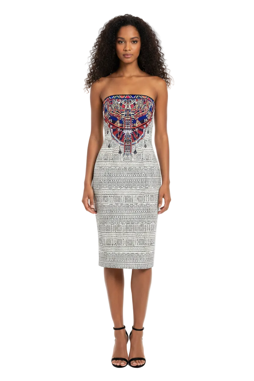 Camilla EmbroideredStrapless Dress, size 10-12