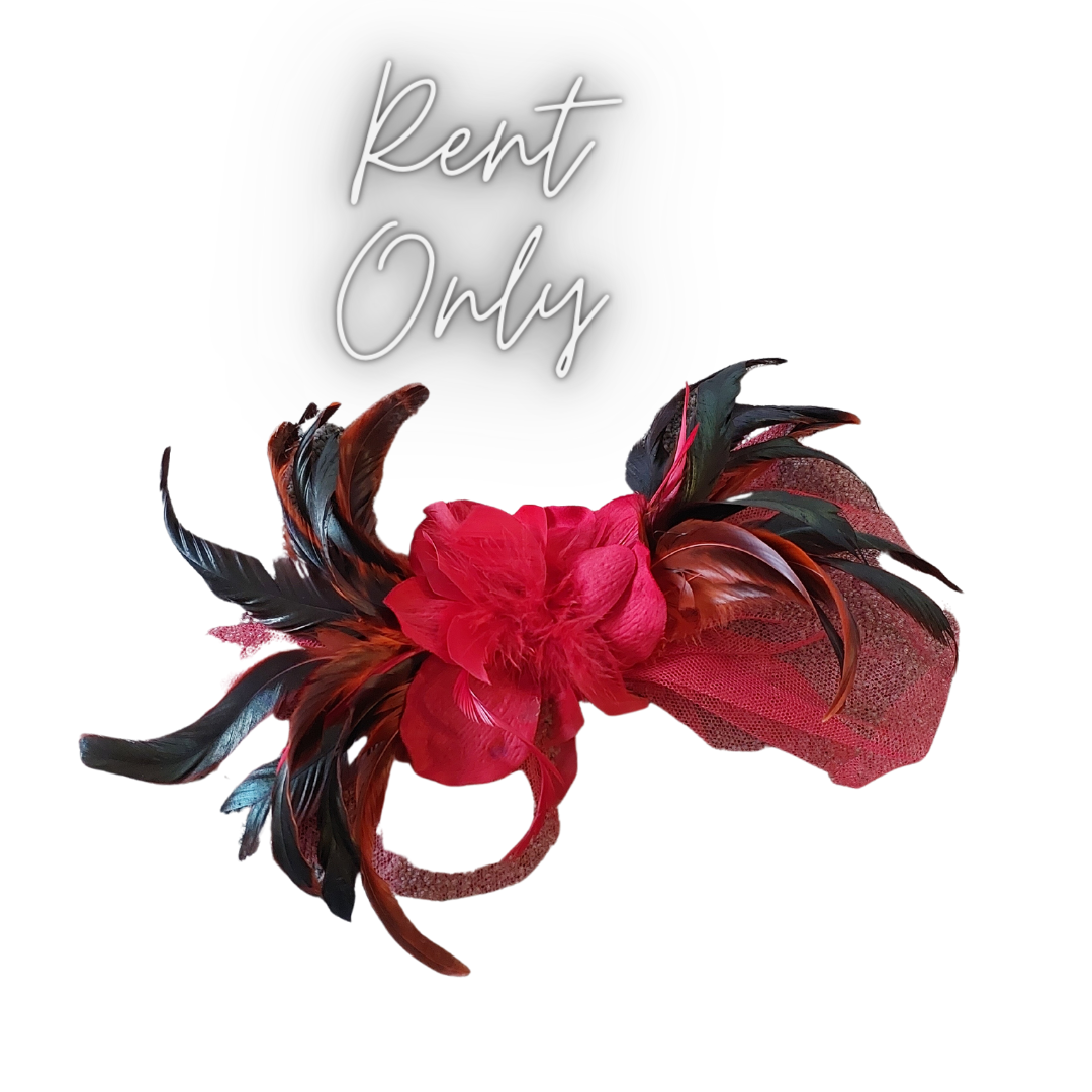 Fascinator hire, choice of colours, book now!