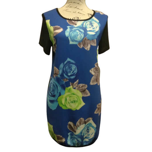 SALE Angel Biba blue floral front dress, size 8