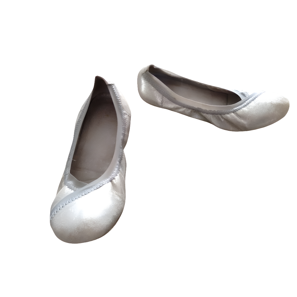 DC silver flats, size 6